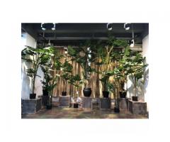 Sharetrade Artificial Plant and Tree Manufacturer Co., Ltd