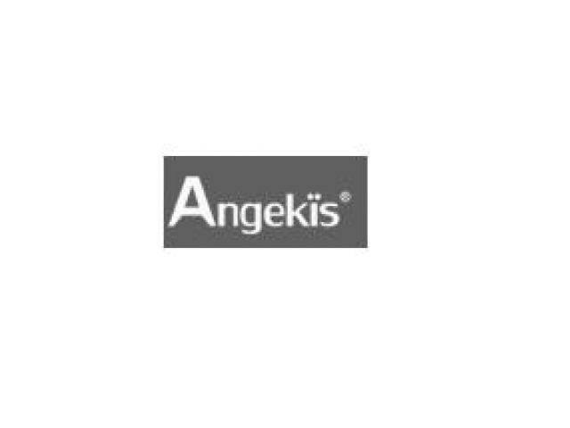 Angekis Technology Co.,Ltd